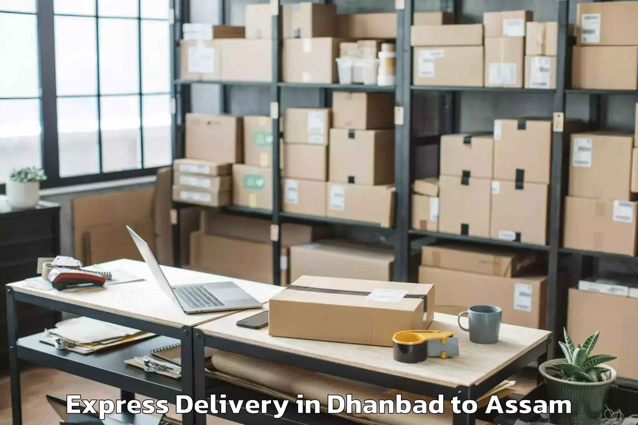 Leading Dhanbad to Doboka Express Delivery Provider